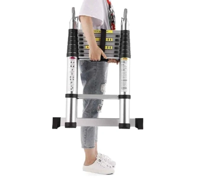 Telescopic Ladder